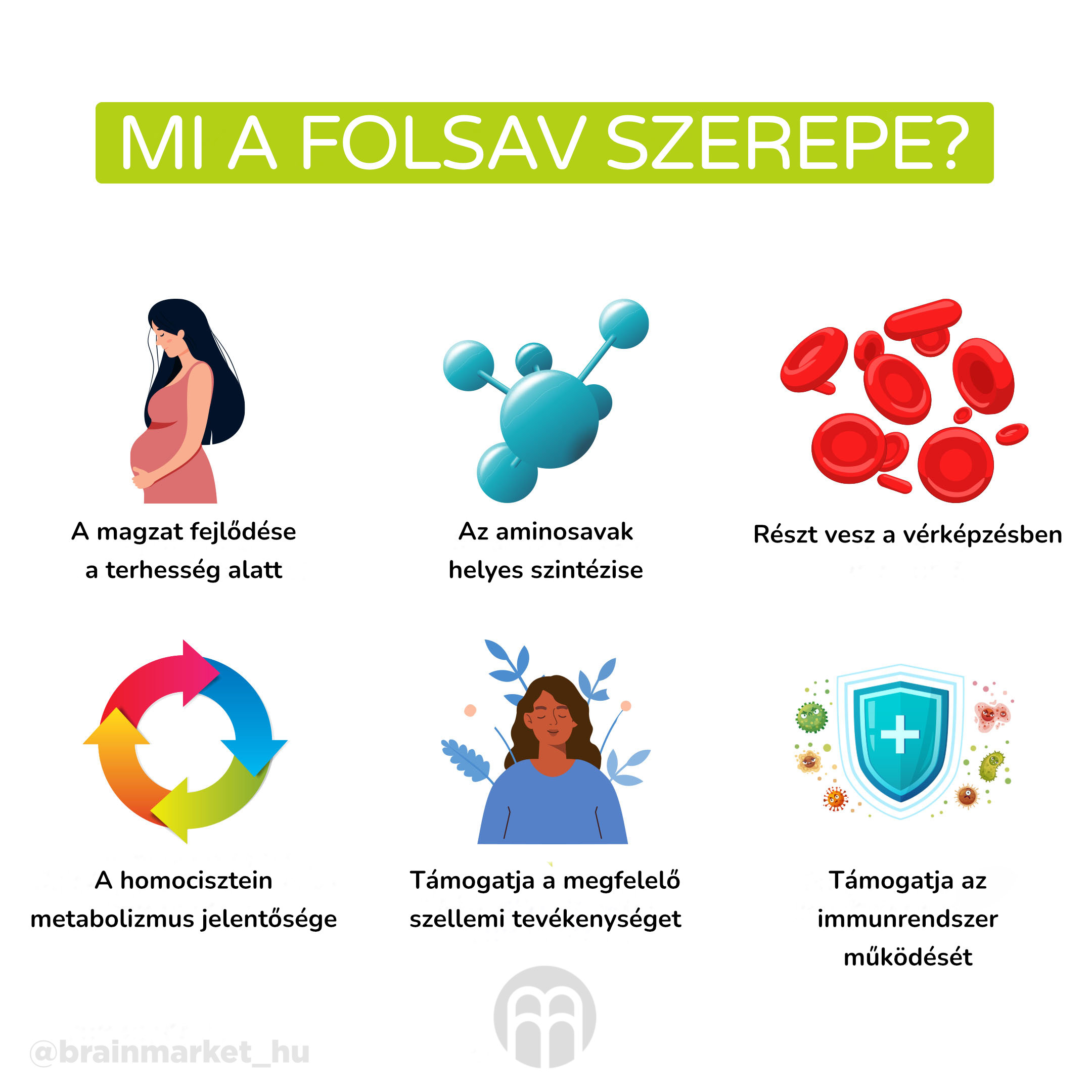 jakou_ulohu_ma_folat_infografika_brainmarket_hu